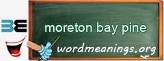WordMeaning blackboard for moreton bay pine